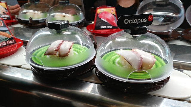 Octopus