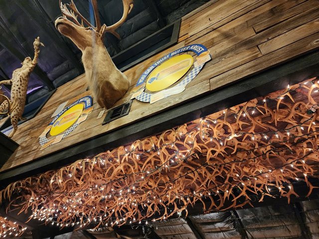 Antler Cafe - Antlers