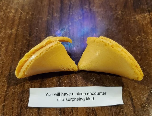 Fortune Cookie