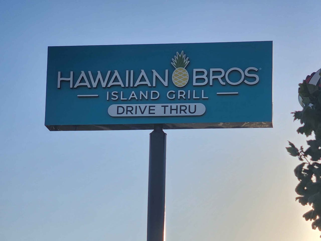 Hawaiian Bros