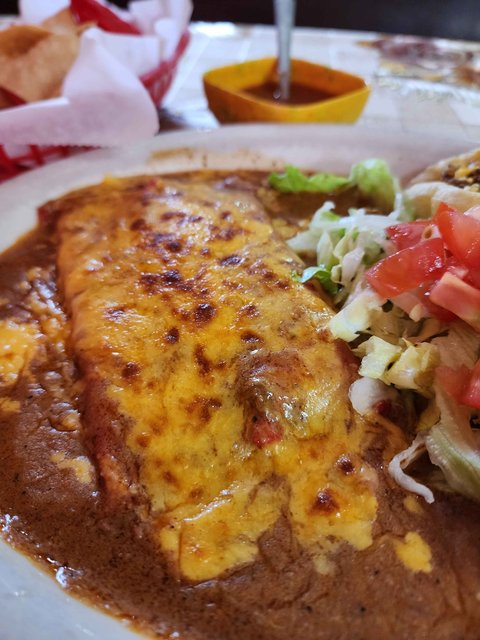 Cheese Enchiladas
