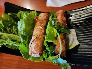 Spring Rolls (Harumaki)