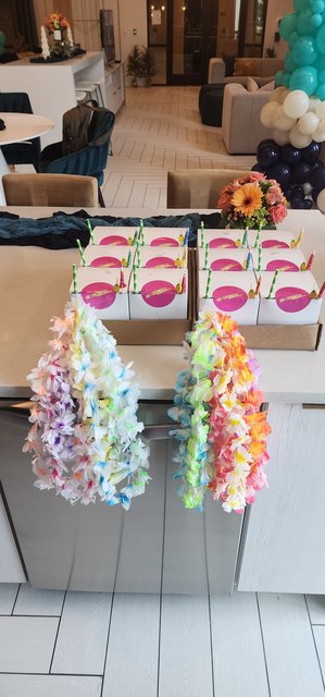 Boxed Cocolada Coconuts