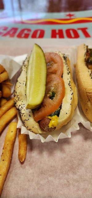 Chicago Dog