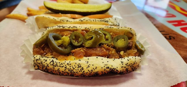 San Antonio Dog