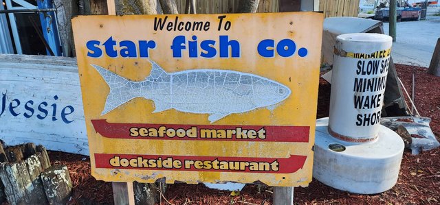 Starfish Signage