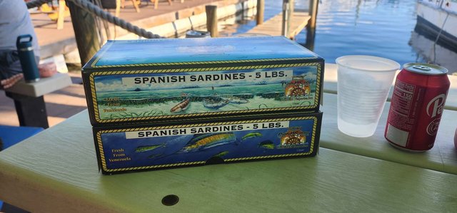 Food Serving Boxes