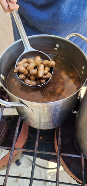 Boiled Peanuts