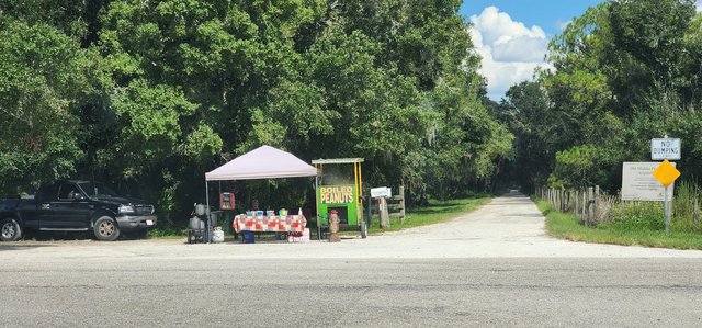 Roadside Intersection