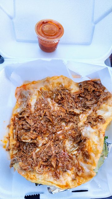 Beef Birria Taco (Before adding anything).