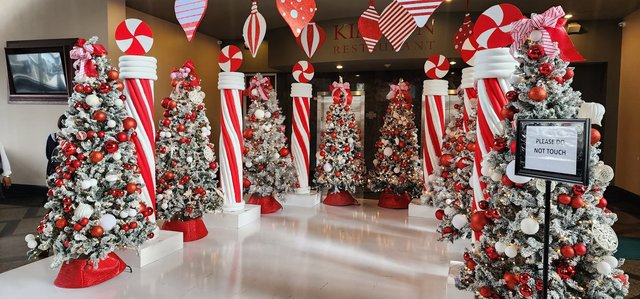 1st Floor Christmas Decorated Entry.