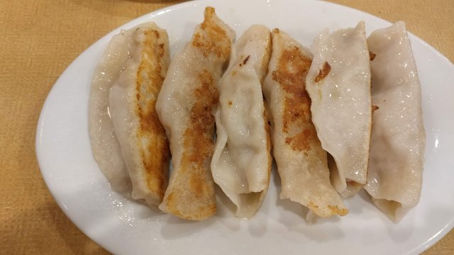 Pan Fried Dumpling