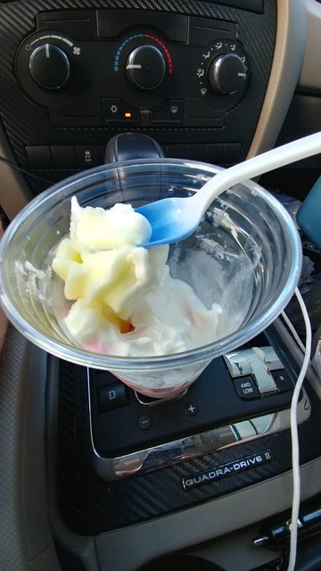 Ice Cream