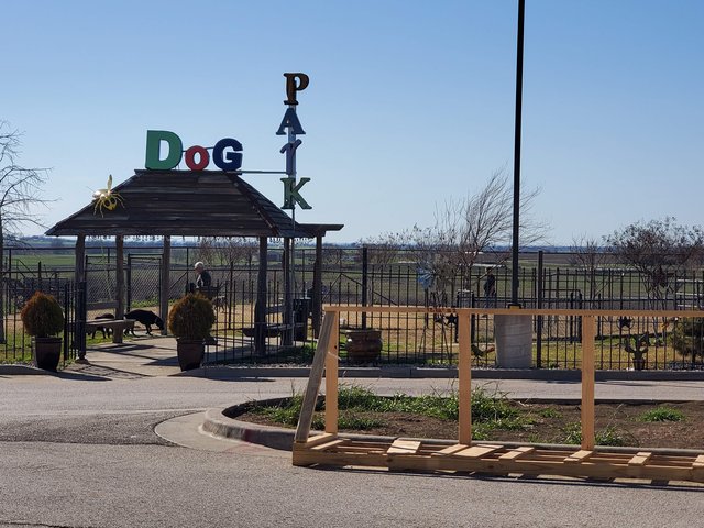 Dog Park