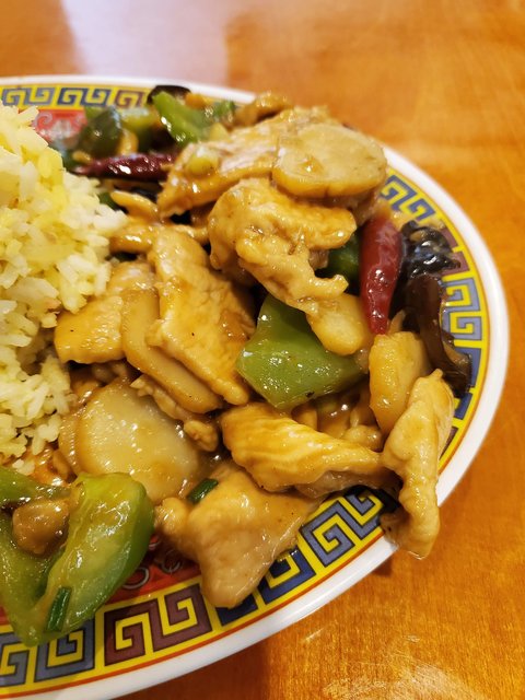 Chicken & Garlic Sauce