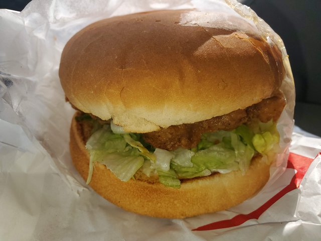 Steak Burger