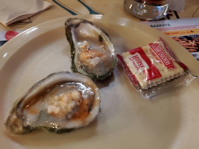 Oysters