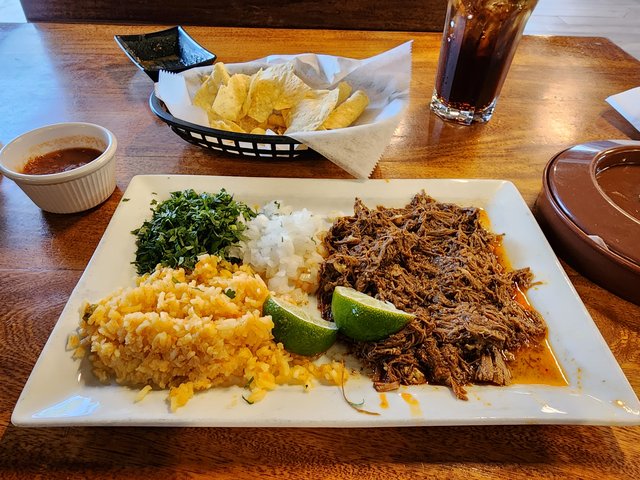 Birria Plate