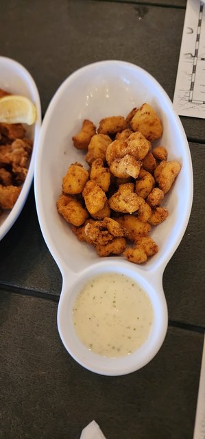 Gator Bites